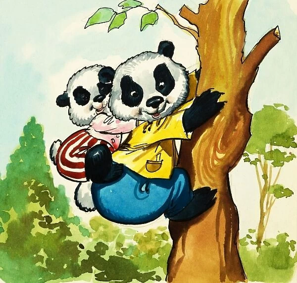Pandas climbing a tree