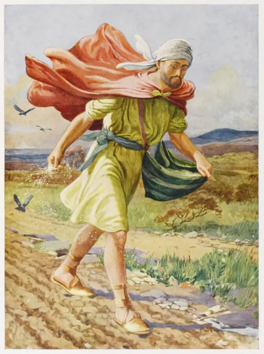 Framed Print : Print of Parable of the Sower on Stony Ground Framed Print : Print of Parable of the Sower on Stony Ground