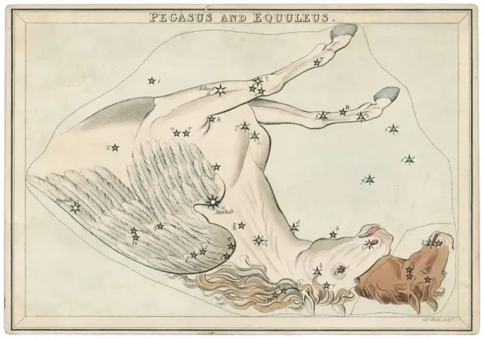 Framed Print : Pegasus Star Map Print Framed Print : Pegasus Star Map Print