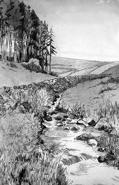 Pen and ink drawing by Harold Auerbach, rural scene