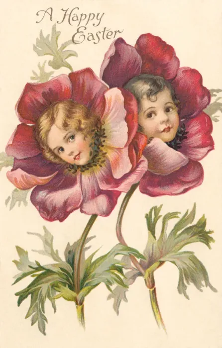 Framed Print : Peony Flower Faces Easter Print circa 1908 Framed Print : Peony Flower Faces Easter Print circa 1908