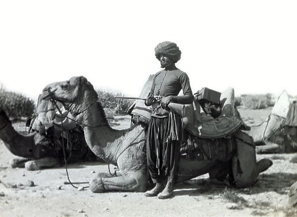 Persian guard and camels, Iran