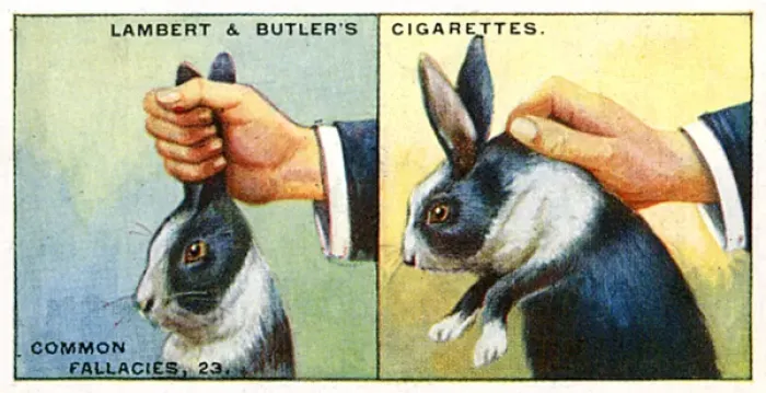 Framed Print : How to Pick up Rabbits: A Contrary Guide Print Framed Print : How to Pick up Rabbits: A Contrary Guide Print