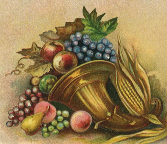 Framed Print : Cornucopia with Fruit Spilling Out Print Framed Print : Cornucopia with Fruit Spilling Out Print