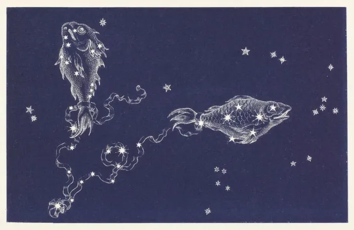 Framed Print : Pisces Constellation Print Framed Print : Pisces Constellation Print
