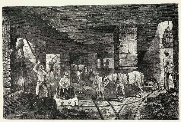 PIT PONIES / 1853. Working with horses in the Bradley Mine