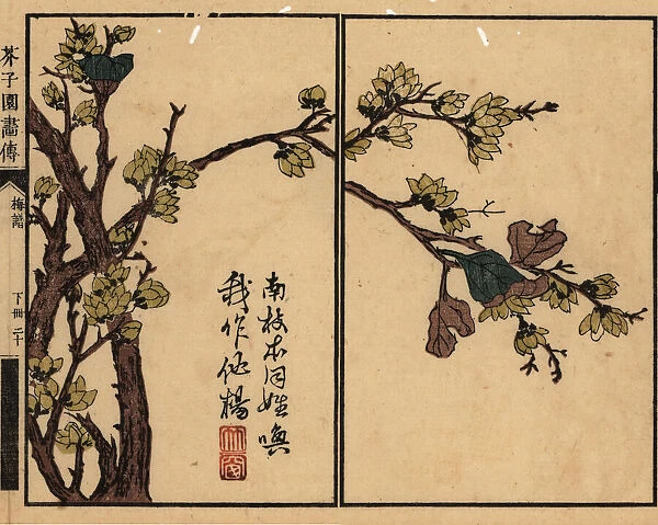 Plum blossom branch with calligraphy and seal