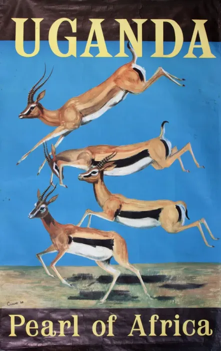 Framed Print : Uganda Springbok Print Framed Print : Uganda Springbok Print