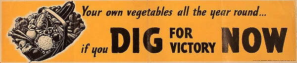 Poster, Dig For Victory Now, WW2