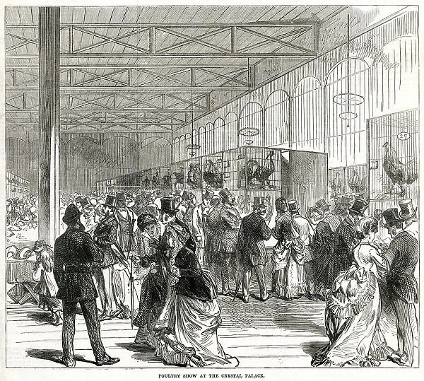 Poultry show at the Crystal Palace 1870