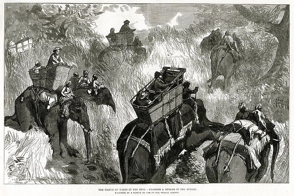 Prince of Wales in Nepal Terai, shooting bears 1876