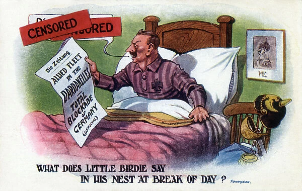 Propaganda cartoon - The Kaiser shocked at War Developments