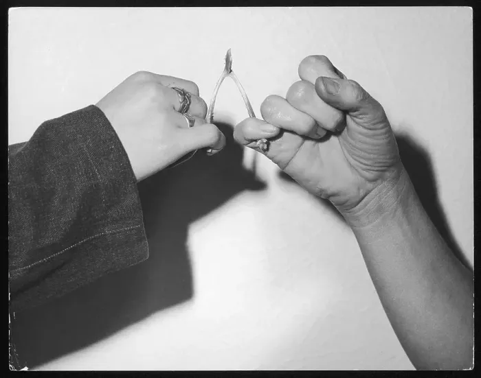 Framed Print : Pulling the Wishbone Print Framed Print : Pulling the Wishbone Print
