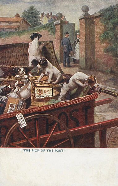 Puppies attaching the post - Ridways Tea Advertisement