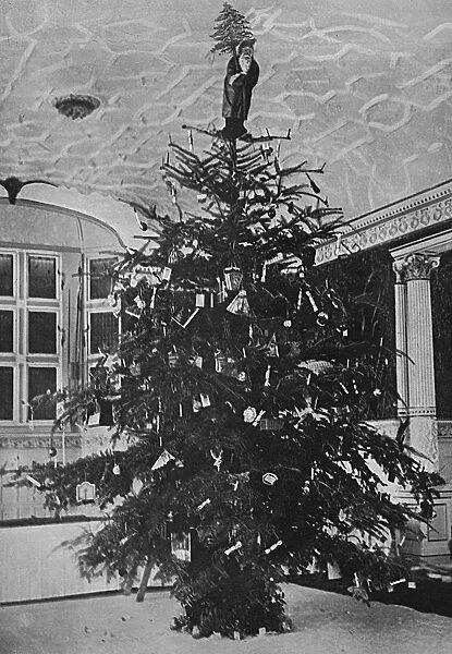 Queen Alexandras Christmas tree at Sandringham