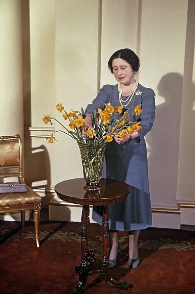 Queen Mother arranging daffodils