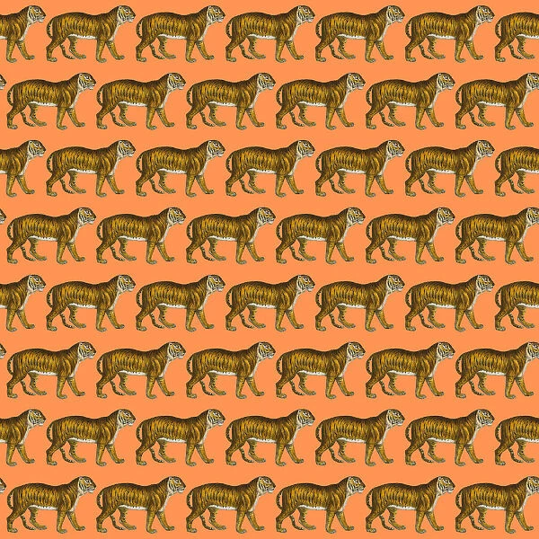 Repeating Pattern - Tigers - orange background