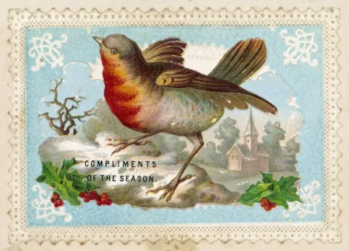 Framed Print : Robin in Winter Print Framed Print : Robin in Winter Print