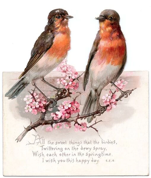 Two robins on a reversible Christmas card