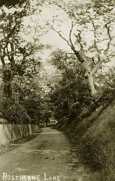 Rostherne Lane