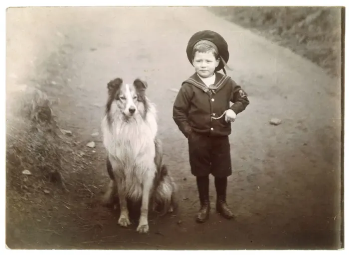 Framed Print : Rough Collie and Boy Collie Print Framed Print : Rough Collie and Boy Collie Print