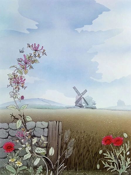 Rural scene with honeysuckle and poppies