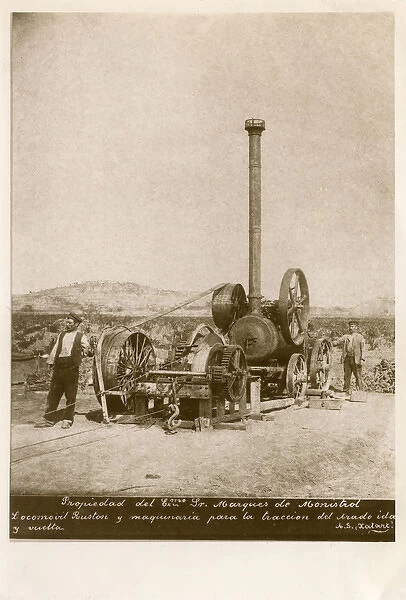 Ruston steam engine, vineyard in Penedes, Catalonia, Spain