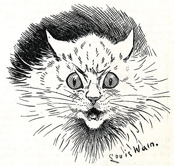 Scarey cat - Mr Louis Wain at Home