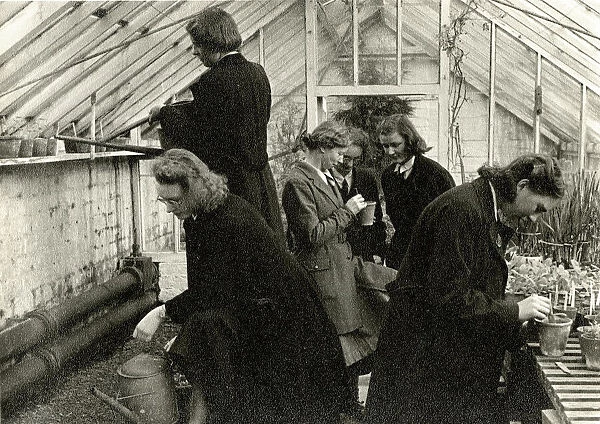 Schoolgirls in greenhouse learning horticulture