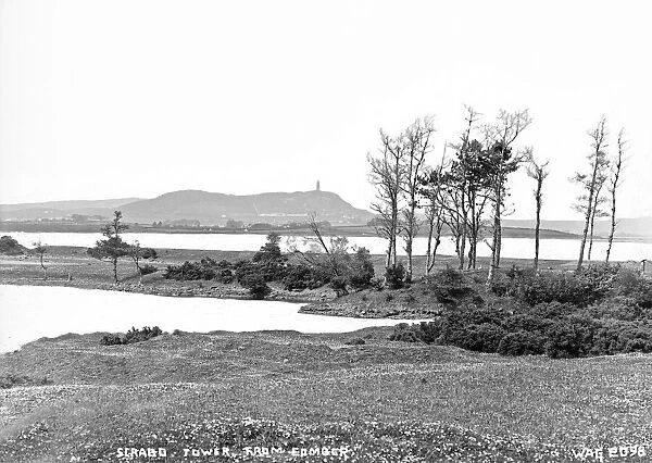 Scrabo Tower from Comber