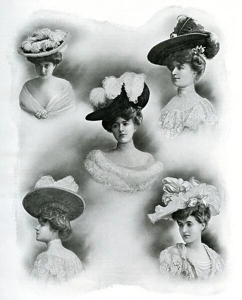 Selection of Parisienne women wearing featered hats 1904