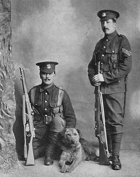 A sentry dog with the Norfolk regiment