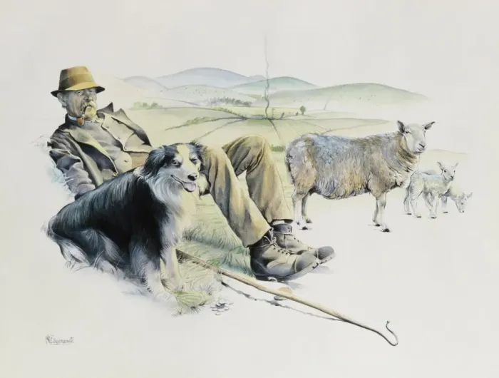 Framed Print : Shepherd at Rest Print Framed Print : Shepherd at Rest Print