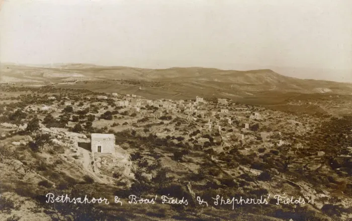 Framed Print : Shepherds Fields Print, Bethlehem, Palestine circa 1910