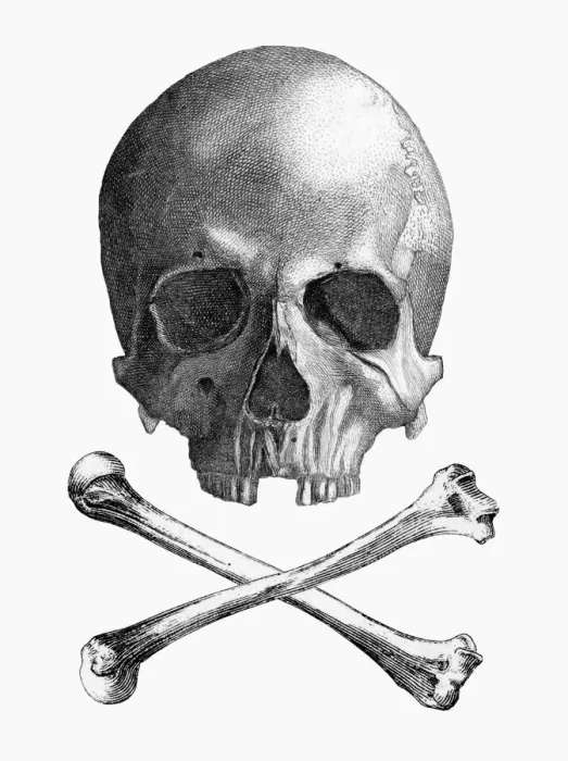 Framed Print : A print of the Skull and Crossbones flag Framed Print : A print of the Skull and Crossbones flag