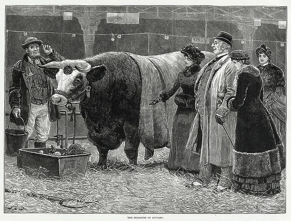 A small group at Smithfield's Market looking at beef cattle. Meat had been traded on the site of Smithfield's for over 800 years, but the present building was opened in 1868