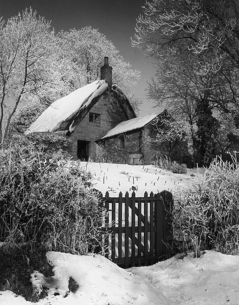 Snowy Thatched Cottage