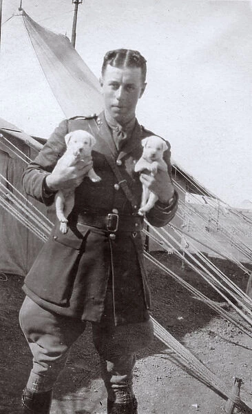 Soldier at training camp holding two puppies, WW1