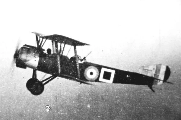 Sopwith 15 Strutter two seater of the Armys Royal Flyi