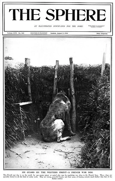 Sphere cover - French War Dog on Guard