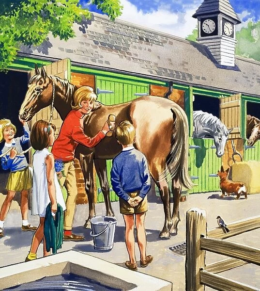At the stables