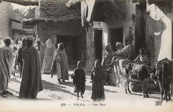 Street scene in Tolga, Biskra Province, Algeria