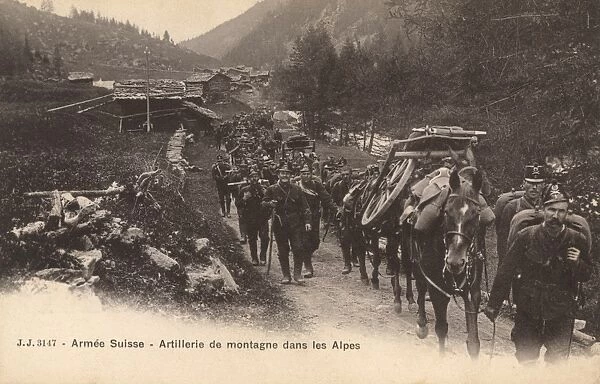 Swiss army in the Alps