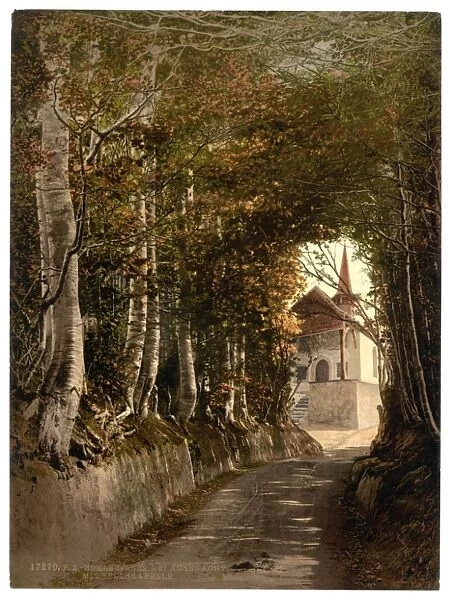 Tells Chapel, the lane through the woods near Kussnacht, sh