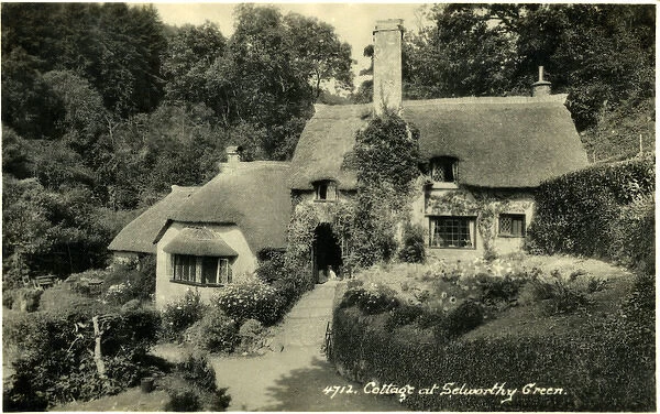 Thatched Cottages, Selworthy, Somerset