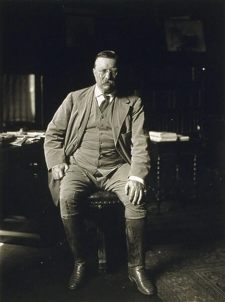 Theodore Roosevelt in his library at Oyster Bay N. Y