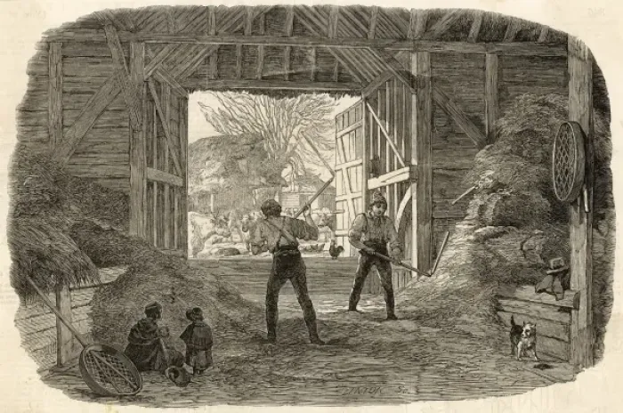 Framed Print : Threshing Print: Hand Threshing Scene in a Barn