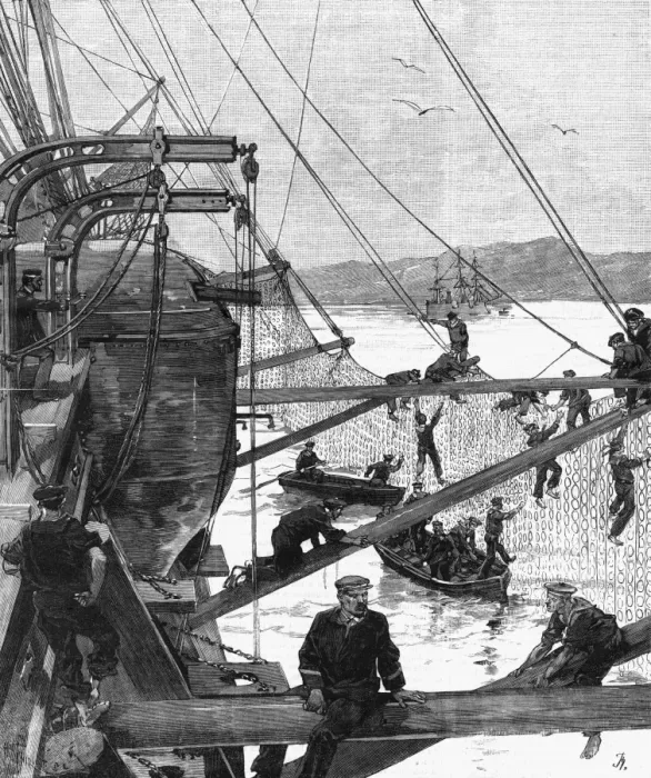 Framed Print : Torpedo Nets Print, 1886 Framed Print : Torpedo Nets Print, 1886