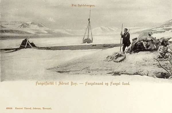 Trapping in Advent Bay, Spitsbergen, Norway