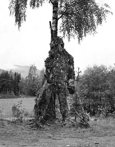 TREE TROLL. A troll, made out of tree branches and grass, Norway. Date: late 1960s